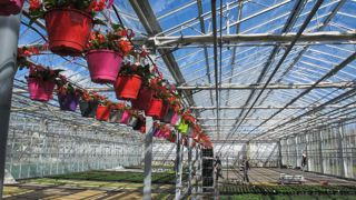 L’Assemblée générale de la FNMJ a été l’occasion d’évoquer la saison en cours, bonne en pépinière, mais plus tendue pour les plantes fleuries. P.FAYOLLE